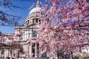 Find out where you can see Cherry Blossoms in London.