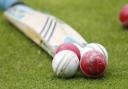 Woodford Wells Thirds miss out on promotion