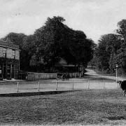 The Dun Cow pictured in 1905. Credit: Gary Stone
