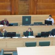 Council leader Grace Williams chairing Waltham Forest\'s cabinet meeting this afternoon. Image: LDRS