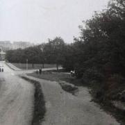 Earl's Path in Loughton c1900