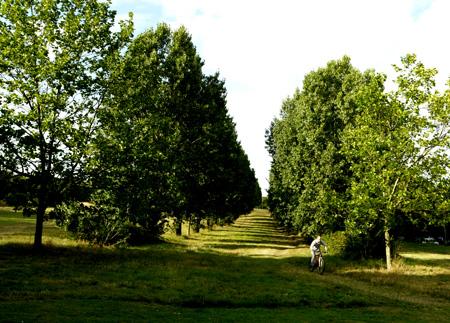 Woodford Green