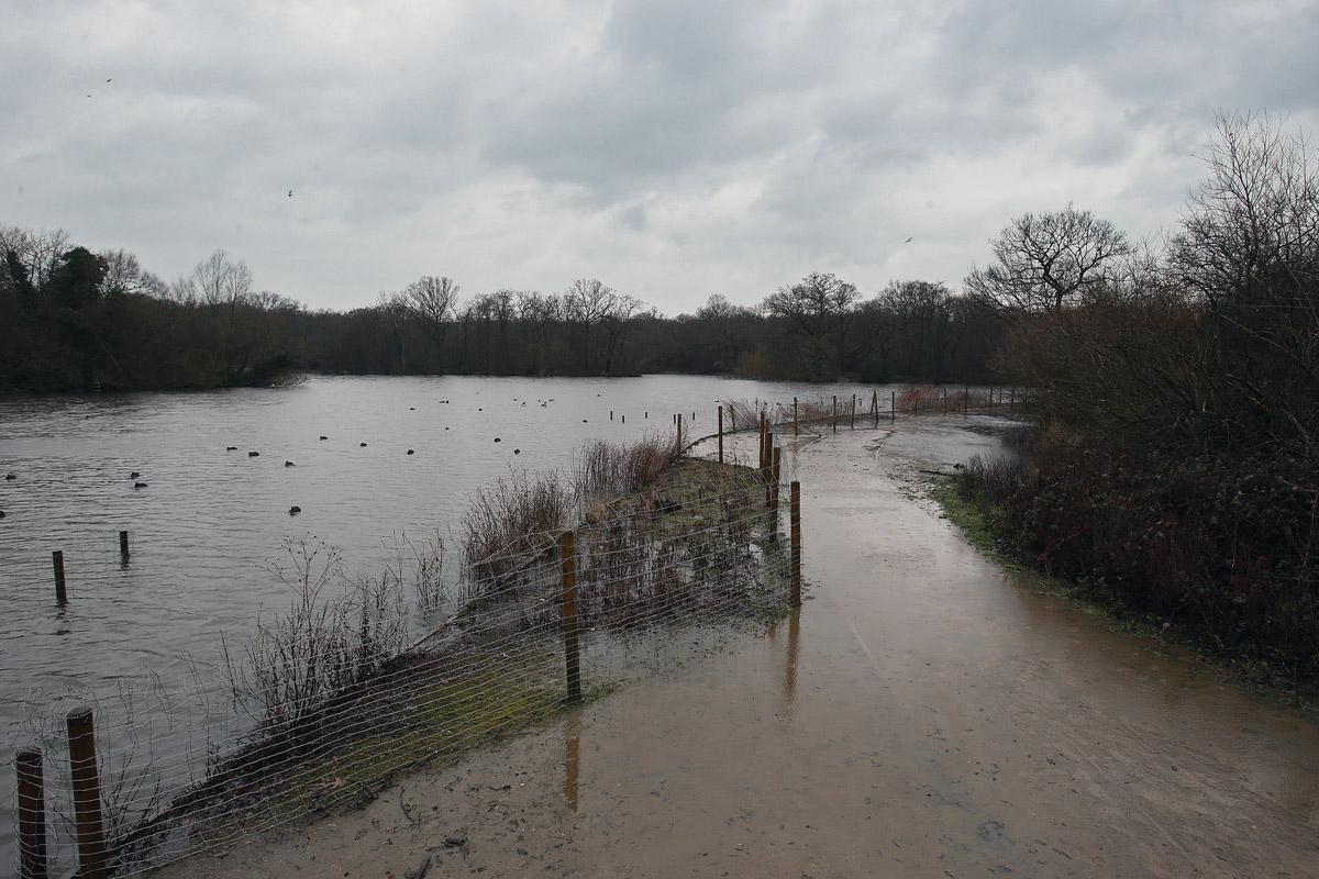 Floodwater at Connaught Waters in Epping Forest near Chingford. (31/1/2013) EL74955_3