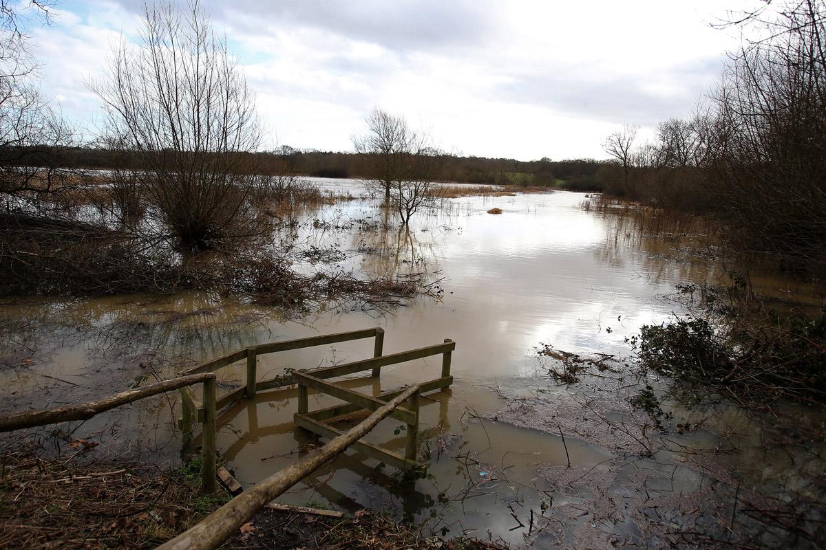 Flooding beside the Oakwood Estate in Loughton. (1/2/2013) EL74953_9