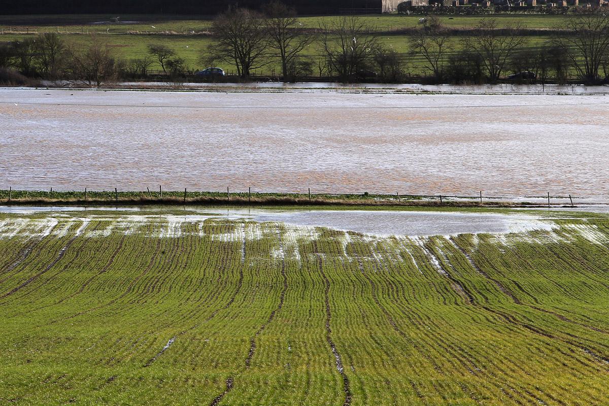 Flooding near Abridge. (1/2/2013) EL74953_5