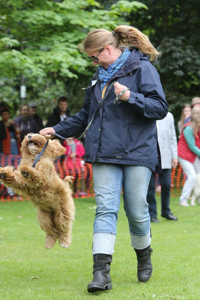 Dogs and their owners take part in the third Parish of Wanstead Village Dog Show, Christ Church Gardens in Wanstead Place. (26/5/2014)

