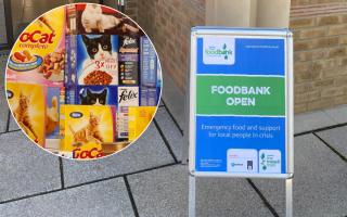 Epping Forest Foodbank helped one woman feed her cat