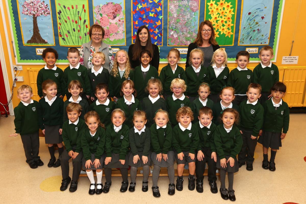 Beech Reception Class at Whitebridge Primary School. Loughton, Essex. (21/9/2015) EL85240_2