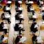 Compensation may be paid to pupils who receive wrong exam results