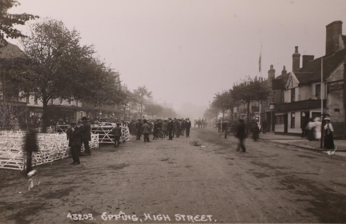 Undated image of market day in High Street, Epping (Picture: Vestry House Museum archive)