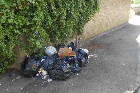 La Mandache repeatedly dumped commercial waste on the streets of Walthamstow