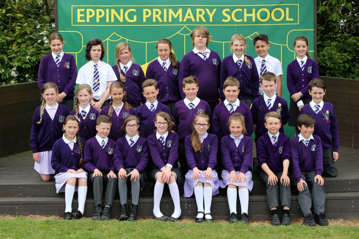My Last Term: Alder Year Six class at Epping Primary School, Essex. (19/5/2016) EL88030_1