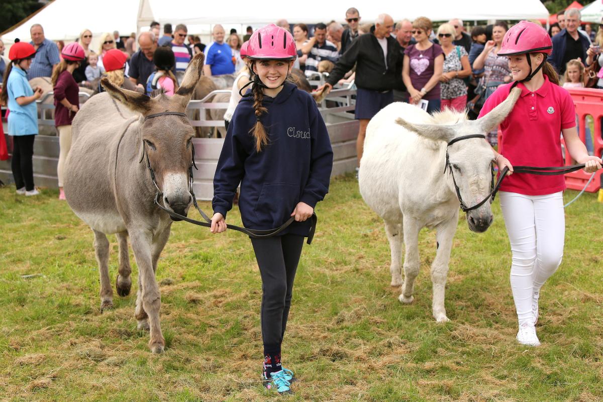 Theydon Bois Scout Group Donkey Derby, the Green, Theydon Bois, Essex. (10/7/2016) EL87874