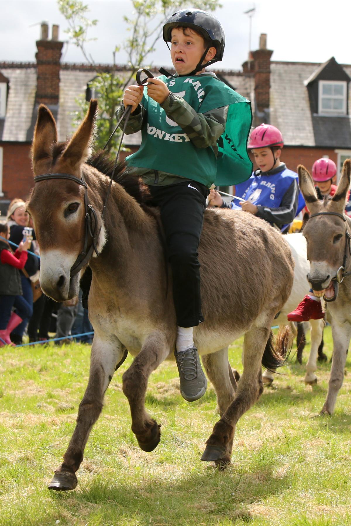 Theydon Bois Scout Group Donkey Derby, the Green, Theydon Bois, Essex. (10/7/2016) EL87874