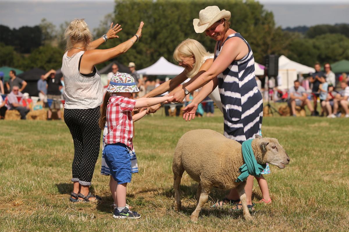 The Toot Hill Country Show, Stanford Rivers, Essex. (6/8/2016) EL87671