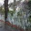 CHINGFORD: Flooded drains create Icicle spectacle