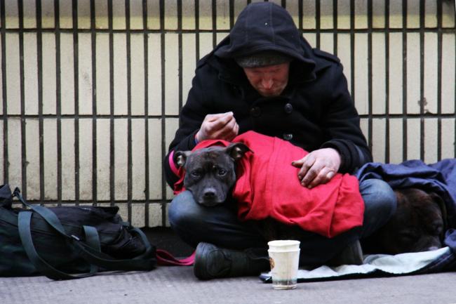 Overall, rough sleeping this summer was 28% higher than last year.