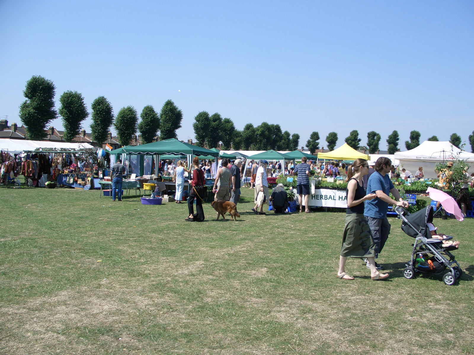 Another view from the 2005 Waltham Forest Green Fair. Picture: Martin Belam