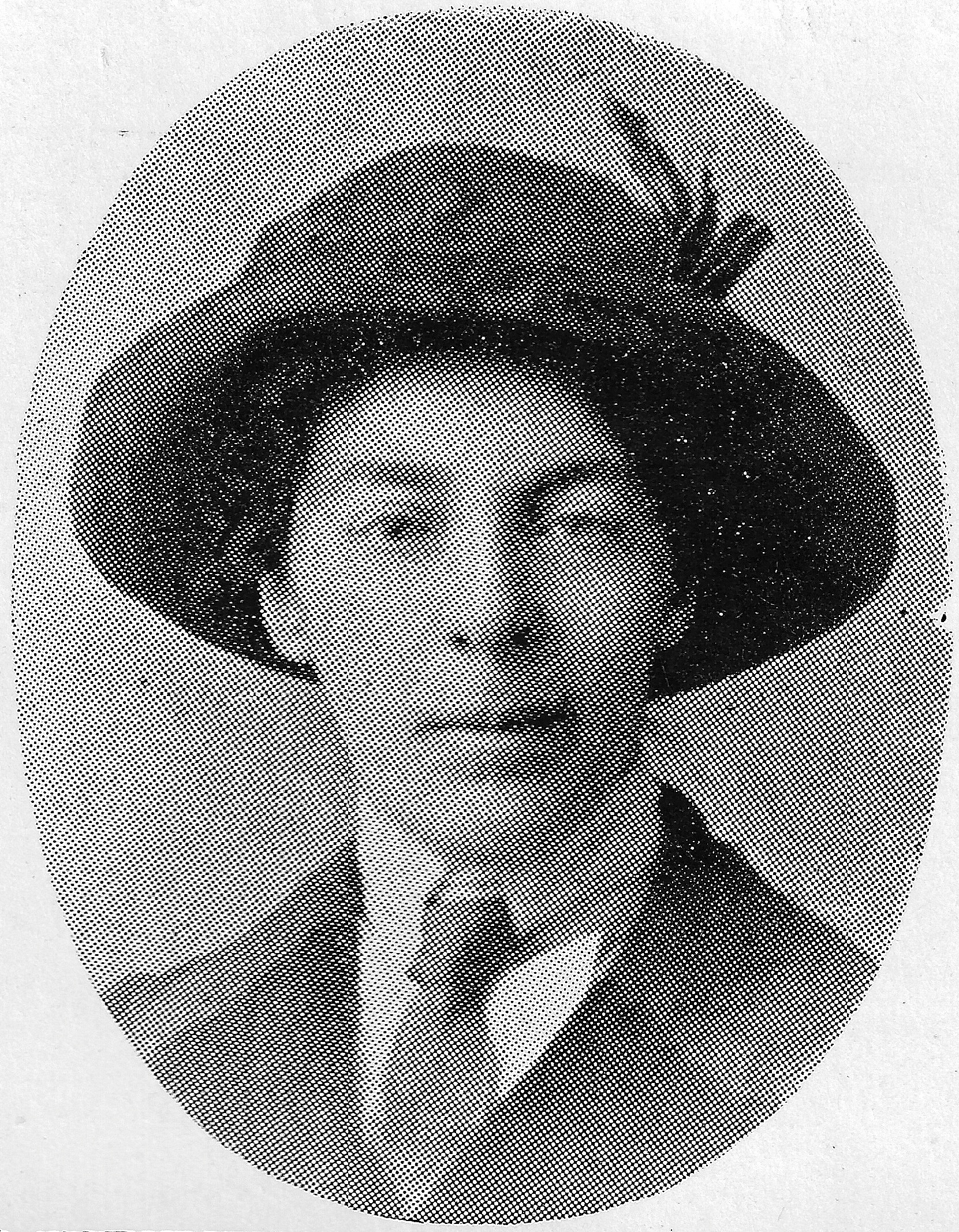 Elizabeth Fox Howard aged 40 in 1913