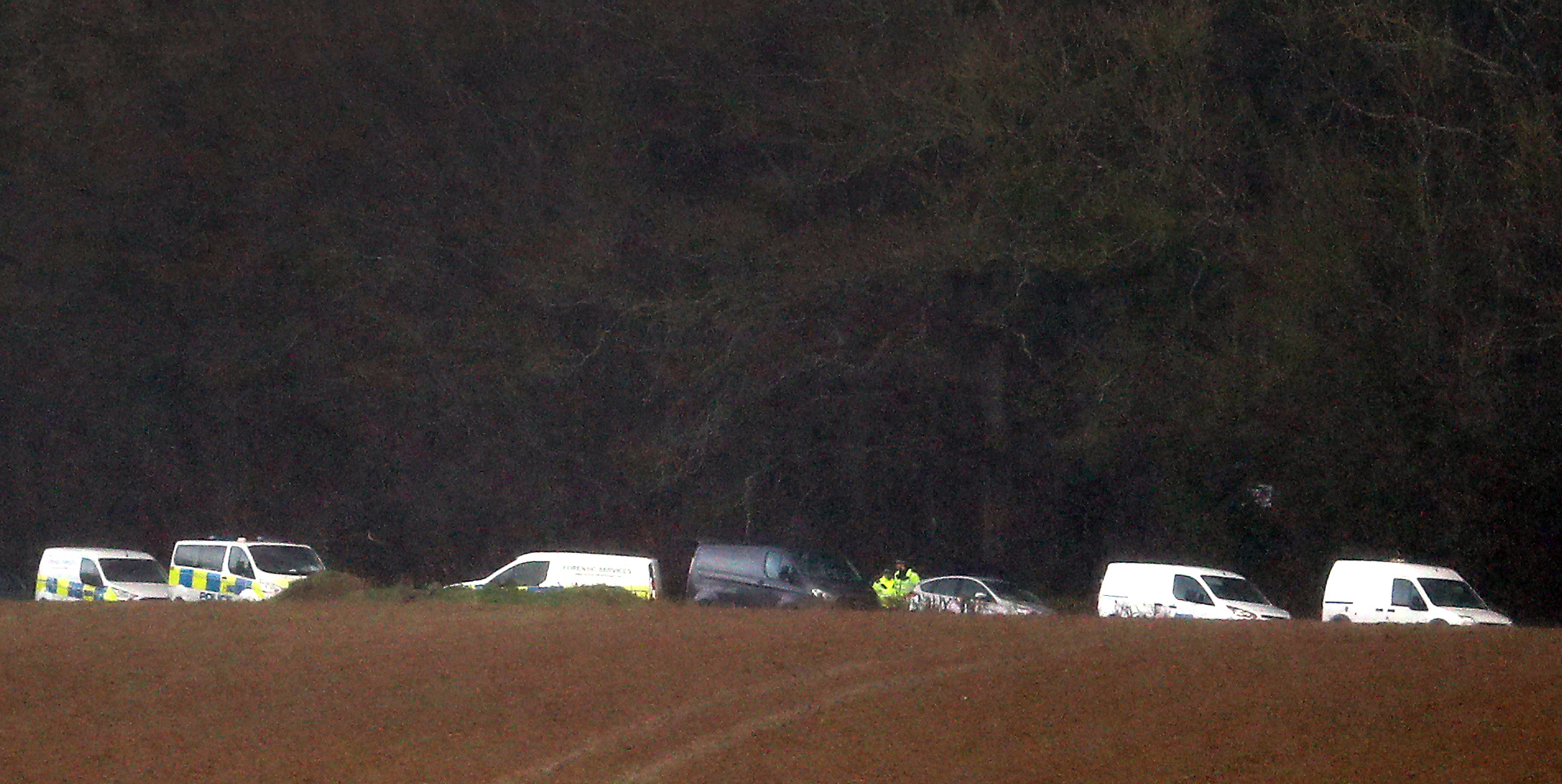 A private ambulance (middle) amongst police vehicles at the search in an area of woodland. Photo: PA