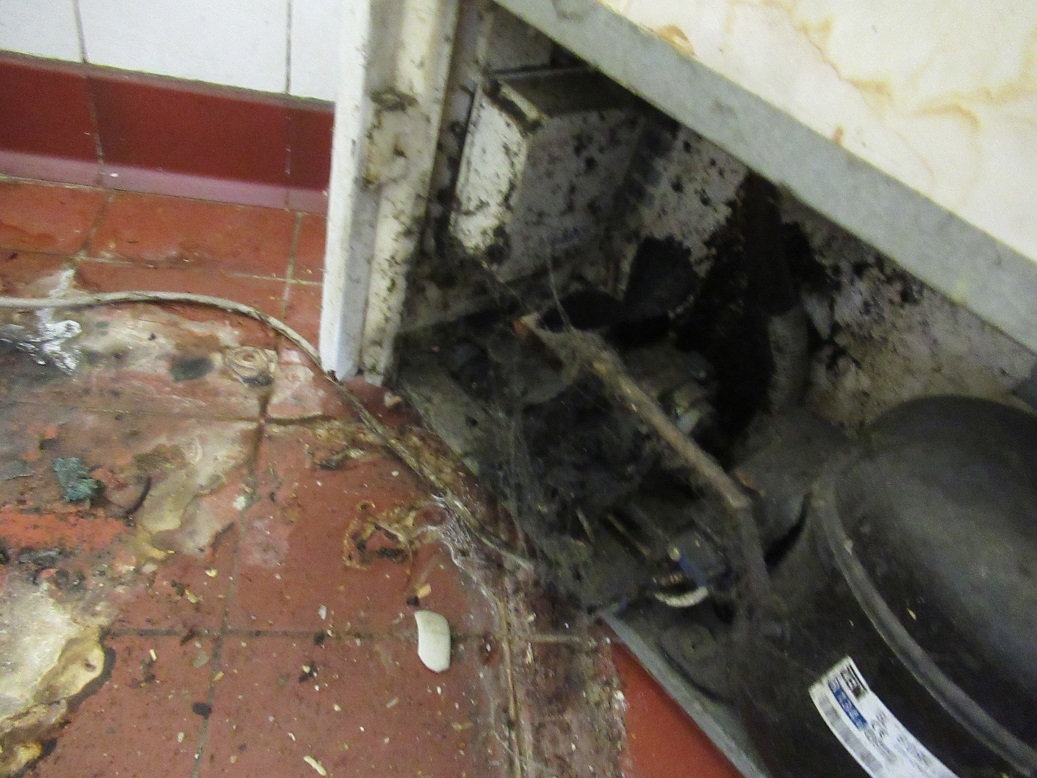 Conditions inside Oriental Kitchen, Walthamstow (WF Council)