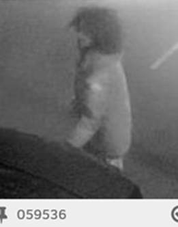 Police are looking for this man to question him in connection with an aggravated burglary. URN 059536. Photo: Met Police