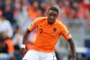 Spurs' new signing in action for the Dutch. Picture: Action Images