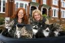 Michelle Flack and Jackie Clune with the kittens