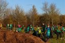Mass planting session at Aston Playing Field