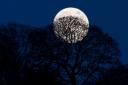 This is when the Super Flower Moon will rise in the UK - it's soon