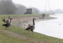 Walthamstow Wetlands was due to open to the public on October 20
