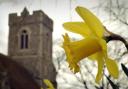 Signs of new life in a churchyard as daffodils bloom ahead of Easter (Image: Newsquest)