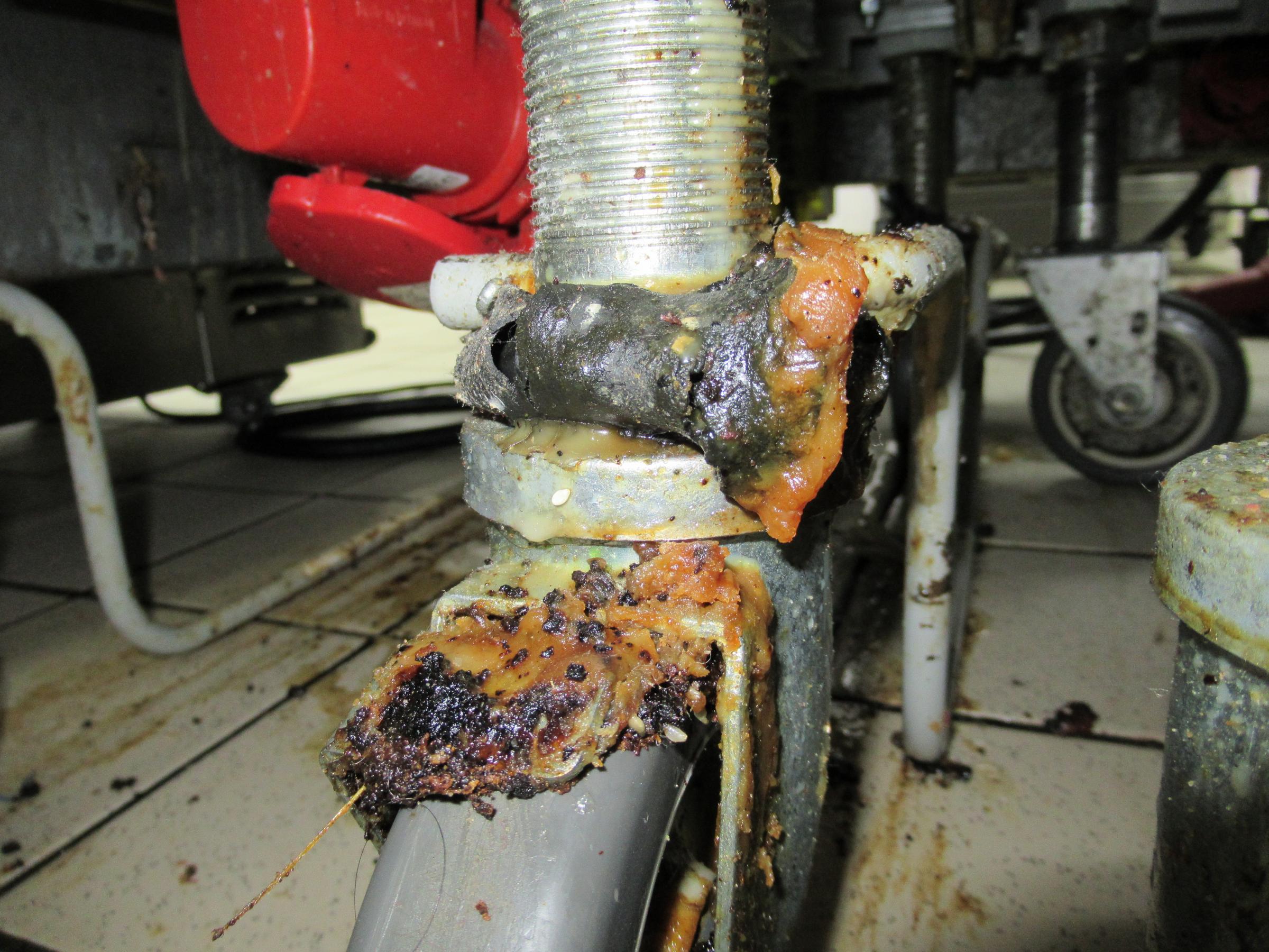 Grease and mouse droppings were discovered in the Leytonstone branch of McDonalds.