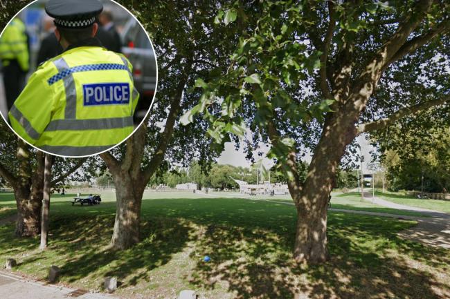 One of the robberies happened at Jubilee Park in Leyton. Picture: Google Street View.