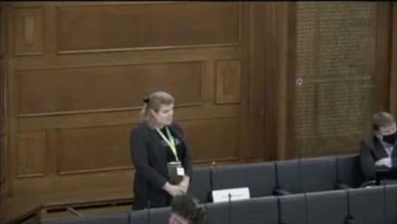 Cllr Grace Williams appearing at full council on the live stream. Image: Waltham Forest Council