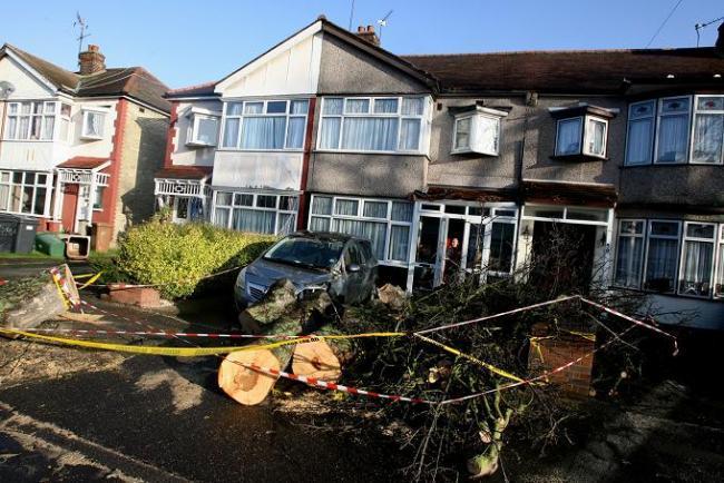 The tree caused an estimated £22,000 worth of damage when it fell on Roger Allop’s house