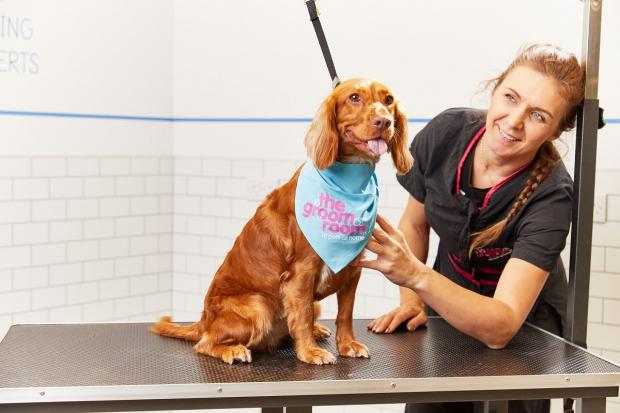 East London and West Essex Guardian Series: The Wuff You Valentine’s spa treatment is available throughout February. Picture: Pets at Home