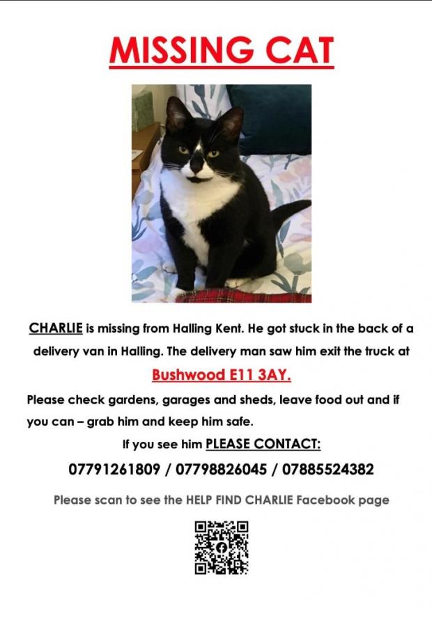 East London and West Essex Guardian Series: The poster the Fishmans put up for missing cat Charlie