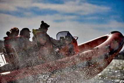 East London and West Essex Guardian Series: Family Powerboat Experience on the River Blackwater