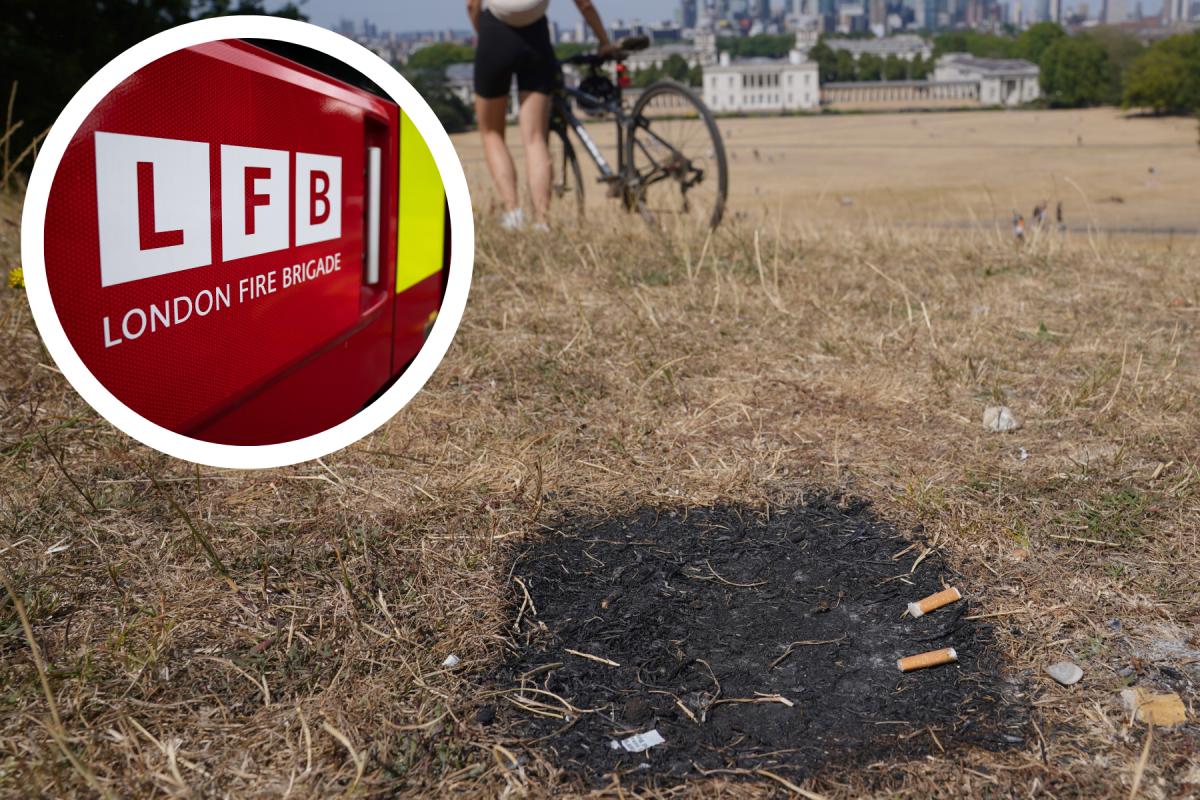 London Fire Brigade says grass is 'tinderbox dry' after 340 fires in first week of August (PA)