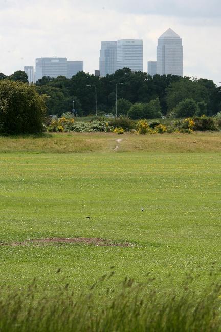 People opposed to the Met's plans to use Wanstead Flats as a temporary base during the Olympics will mark out the site as a 'living map' on Sunday (November 21)