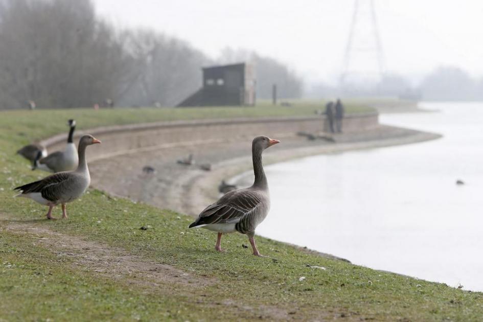 Looking back at the opening of Walthamstow Wetlands