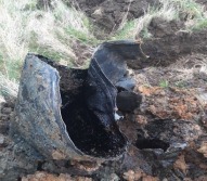 Images from planning documents submitted by Bellway show what was found when soil samples were taken. Image: Bellway