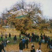 The 'M11 Tree' during the 1993 protest