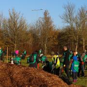 Mass planting session at Aston Playing Field