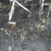 The bike shed was storing multiple e-bikes when it caught fire