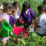 Buxton School's Secret Garden is a thriving outdoor classroom (Image: Buxton School)