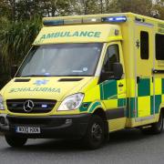 Paramedics told mother it would take 45 minutes to get an ambulance to him