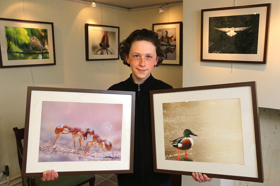 Gideon Knight has wildlife photography exhibition at The Temple in Wanstead  Park organised by the City of London Corporation | East London and West  Essex Guardian Series