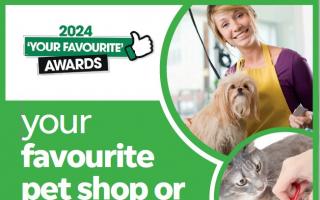 Nominateyour favourite pet shop or pet groomer